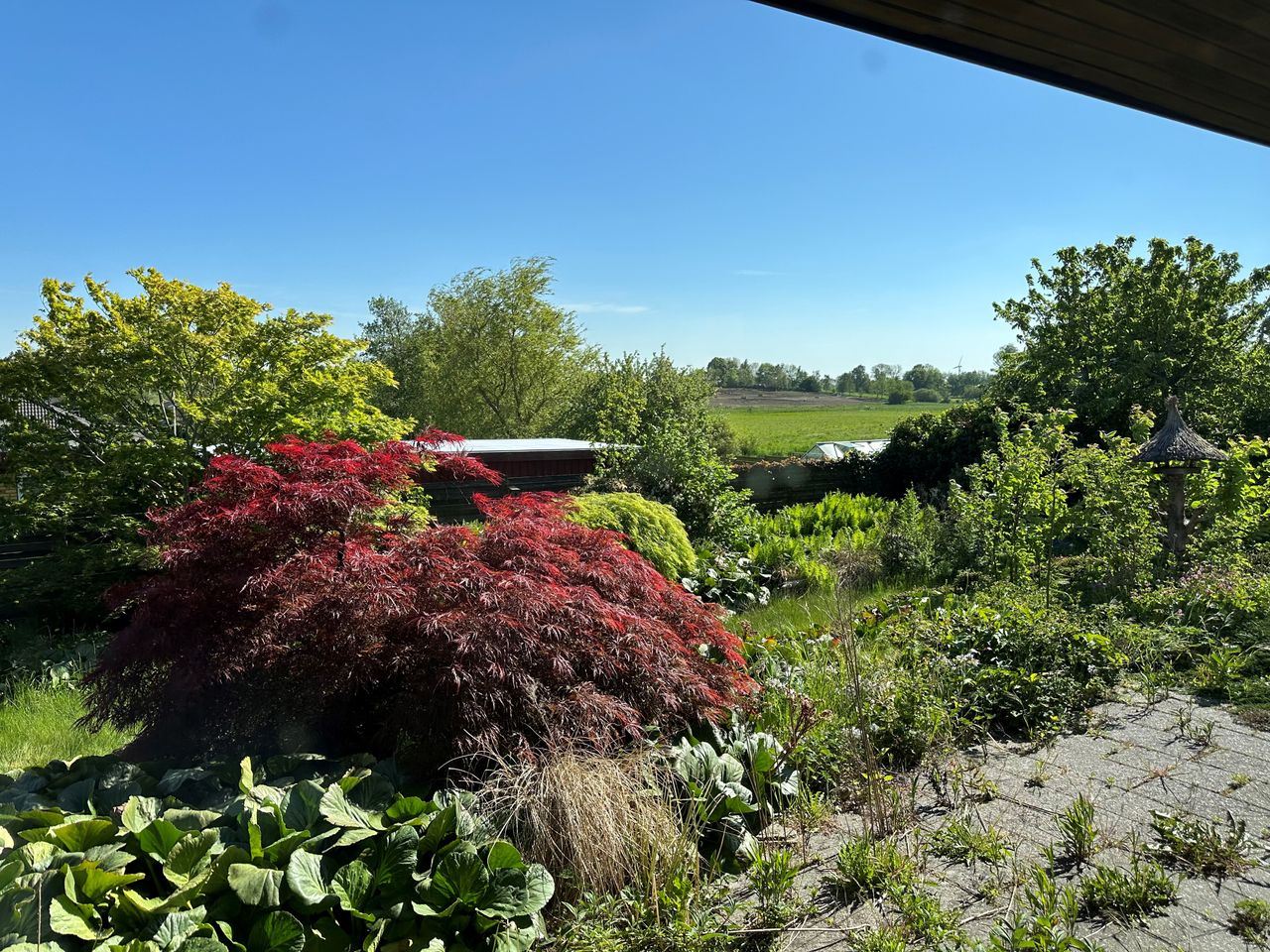image 04