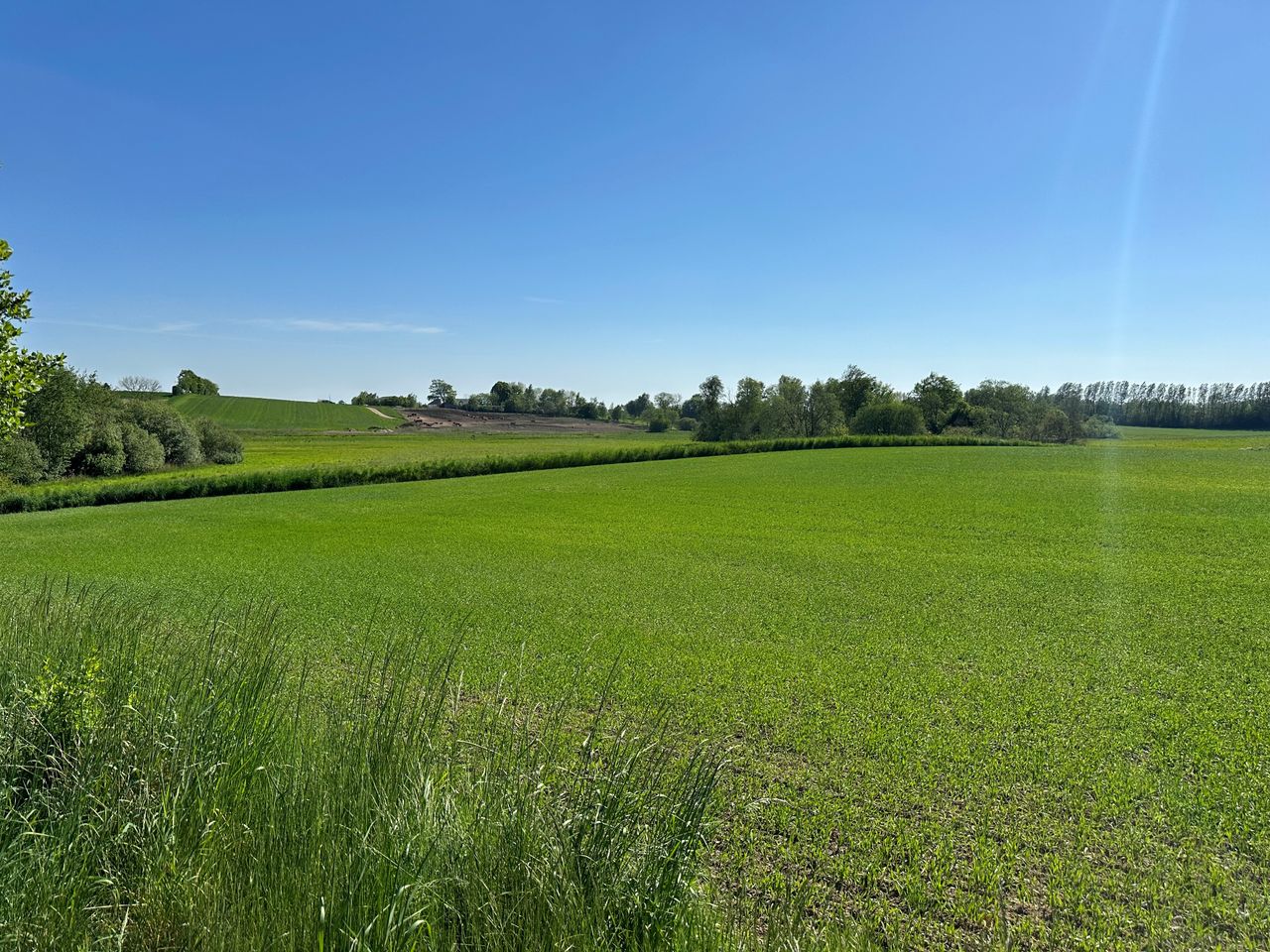 image 03